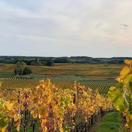 Chateau Au Coeur Du Vignoble Bordelais فيلة *