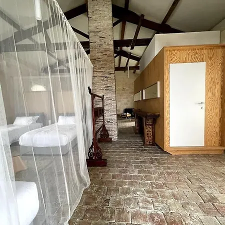Chateau Au Coeur Du Vignoble Bordelais Francs