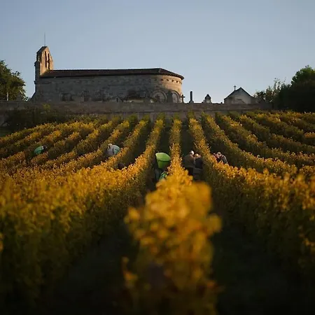 Chateau Au Coeur Du Vignoble Bordelais * Francs