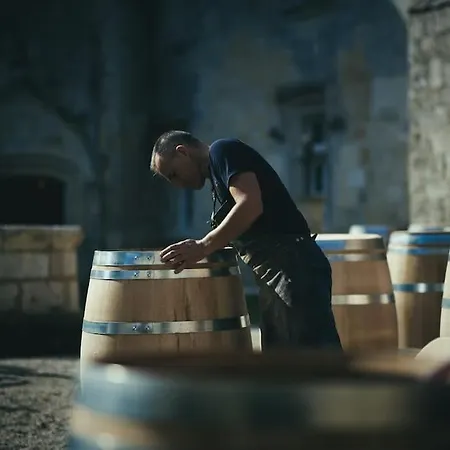 فيلة Chateau Au Coeur Du Vignoble Bordelais *